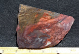 Binghamite Slab 53