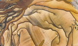 Biggs Jasper Rock Slab 470