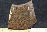 Whiskey Creek Jasper Rock Slab 65