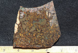 Whiskey Creek Jasper Rock Slab 65