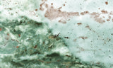 Unicorn Jasper Slab 193