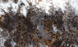 Sheep Creek Plume Agate Rock Slab 189