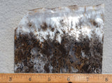 Sheep Creek Plume Agate Rock Slab 189