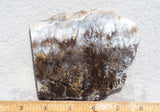 Sheep Creek Plume Agate Rock Slab 188