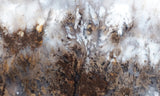 Sheep Creek Plume Agate Rock Slab 188