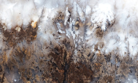 Sheep Creek Plume Agate Rock Slab 188