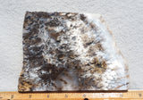 Sheep Creek Plume Agate Rock Slab 191