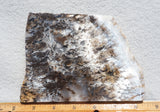 Sheep Creek Plume Agate Rock Slab 191