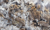 Sheep Creek Plume Agate Rock Slab 195