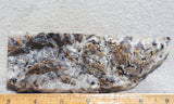 Sheep Creek Plume Agate Rock Slab 195