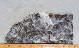 Sheep Creek Plume Agate Rock Slab 178