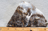 Sheep Creek Plume Agate Rock Slab 192