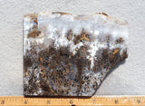 Sheep Creek Plume Agate Rock Slab 194