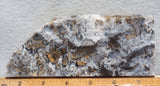 Sheep Creek Plume Agate Rock Slab 184