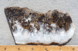 Sheep Creek Plume Agate Rock Slab 180