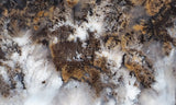 Sheep Creek Plume Agate Rock Slab 180