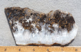 Sheep Creek Plume Agate Rock Slab 180
