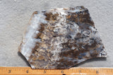 Sheep Creek Plume Agate Rock Slab 196