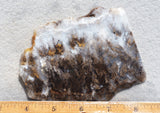 Sheep Creek Plume Agate Rock Slab 171