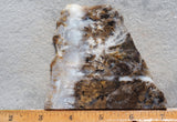 Sheep Creek Plume Agate Rock Slab 182