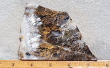 Sheep Creek Plume Agate Rock Slab 170