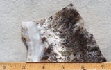 Sheep Creek Plume Agate Rock Slab 179