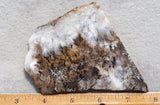 Sheep Creek Plume Agate Rock Slab 187