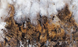 Sheep Creek Plume Agate Rock Slab 187