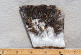 Sheep Creek Plume Agate Rock Slab 183