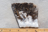 Sheep Creek Plume Agate Rock Slab 183