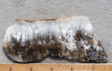 Sheep Creek Plume Agate Rock Slab 177