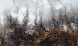 Sheep Creek Plume Agate Rock Slab 177