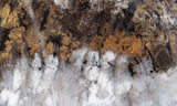 Sheep Creek Plume Agate Rock Slab 175