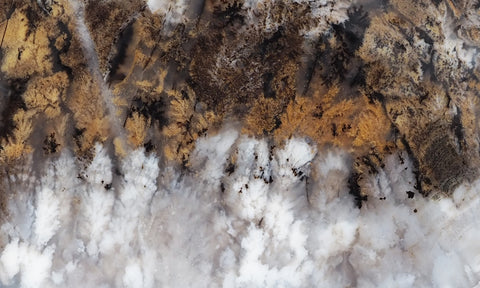 Sheep Creek Plume Agate Rock Slab 175