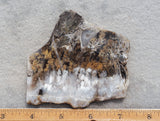 Sheep Creek Plume Agate Rock Slab 175