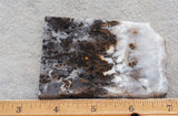 Sheep Creek Plume Agate Rock Slab 173
