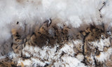 Sheep Creek Plume Agate Rock Slab 193