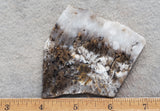 Sheep Creek Plume Agate Rock Slab 193