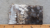 Sheep Creek Plume Agate Rock Slab 181