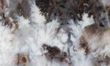 Sheep Creek Plume Agate Rock Slab 185