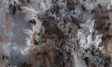 Sheep Creek Plume Agate Rock Slab 185