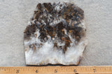 Sheep Creek Plume Agate Rock Slab 174