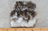 Sheep Creek Plume Agate Rock Slab 174