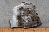 Sheep Creek Plume Agate Rock Slab 197