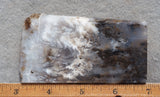 Sheep Creek Plume Agate Rock Slab 198