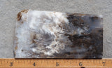Sheep Creek Plume Agate Rock Slab 198