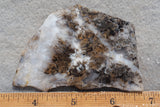 Sheep Creek Plume Agate Rock Slab 199
