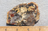 Coprolite Rock Slab 170