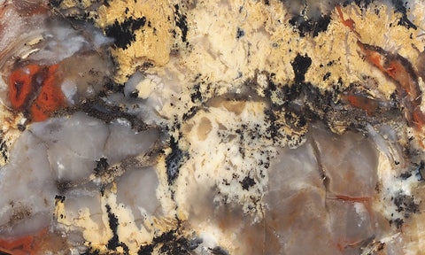 Coprolite Rock Slab 170