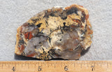 Coprolite Rock Slab 170